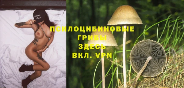 экстази Осинники
