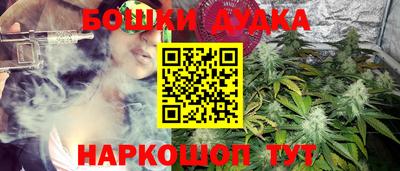 ГАЛЛЮЦИНОГЕННЫЕ ГРИБЫ Канаш